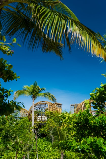 Tips for First-Time Home Buyers in Costa Rica